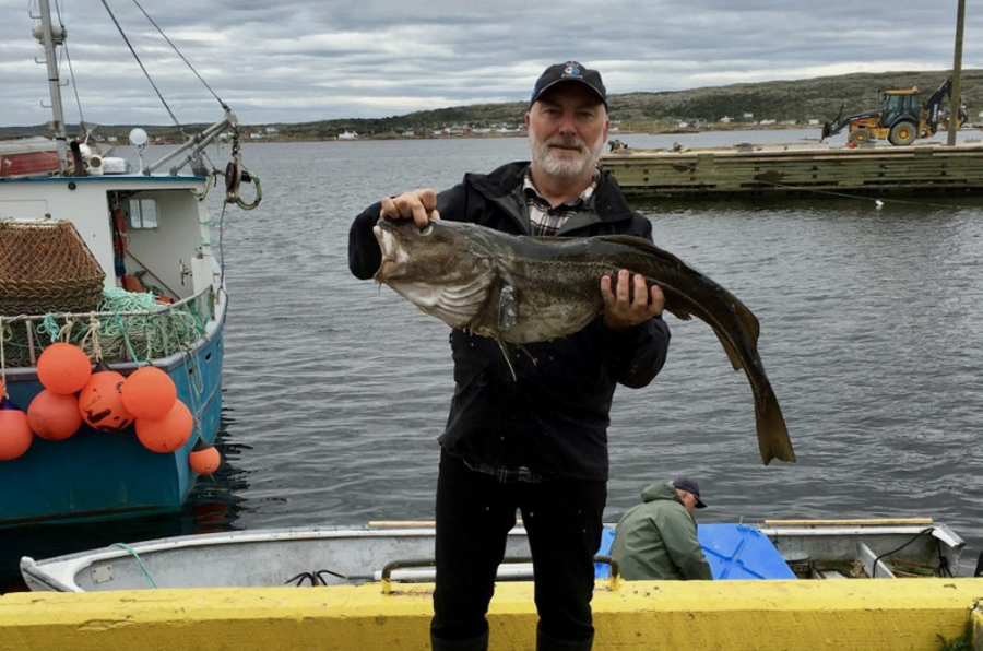 Fogo Island Fish